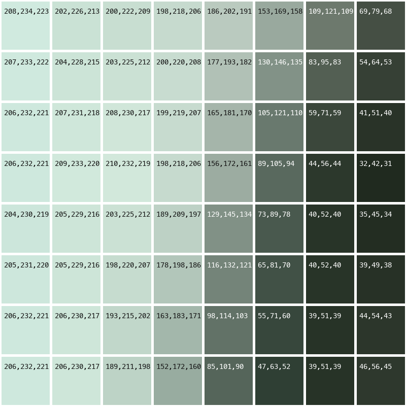 The same 64 pixels, each labeled with its real RGB values
