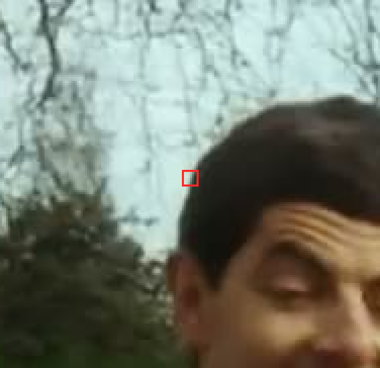 Locating an 8x8 pixel patch in the frame